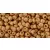 Toho Round Japanese Seed Bead  -  pf551f  -  Galvanized Frosted Pinkish Gold Permanent Finish  -  size: 11/0