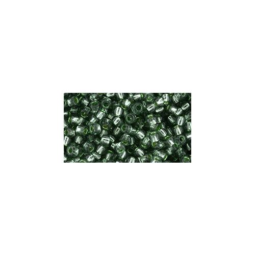 Toho Round Japanese Seed Bead  -  2202  -  Silver-Lined Prairie Green   -  size: 6/0