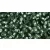 Toho kásagyöngy - 2202 - Silver-Lined Prairie Green - 6/0