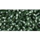 Toho Round Japanese Seed Bead  -  2202  -  Silver-Lined Prairie Green   -  size: 6/0