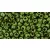 Toho Round Japanese Seed Bead  -  y321f -  HYBRID Opaque Mint Green Picasso -  size: 8/0