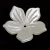 Plastic flower bead - Cream - 25 x 26 x 5.5 mm