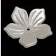 Plastic flower bead - Cream - 25 x 26 x 5.5 mm