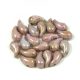 Zoliduo Czech Pressed 2 Hole Glass Bead - Alabaster Pink Luster - 5x8mm - left