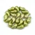Zoliduo Czech Pressed 2 Hole Glass Bead - Pastel Light Green - 5x8mm - left