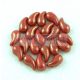 Zoliduo Czech Pressed 2 Hole Glass Bead - Opaque Red Gold Luster - 5x8mm - left